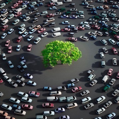Auto und Umwelt